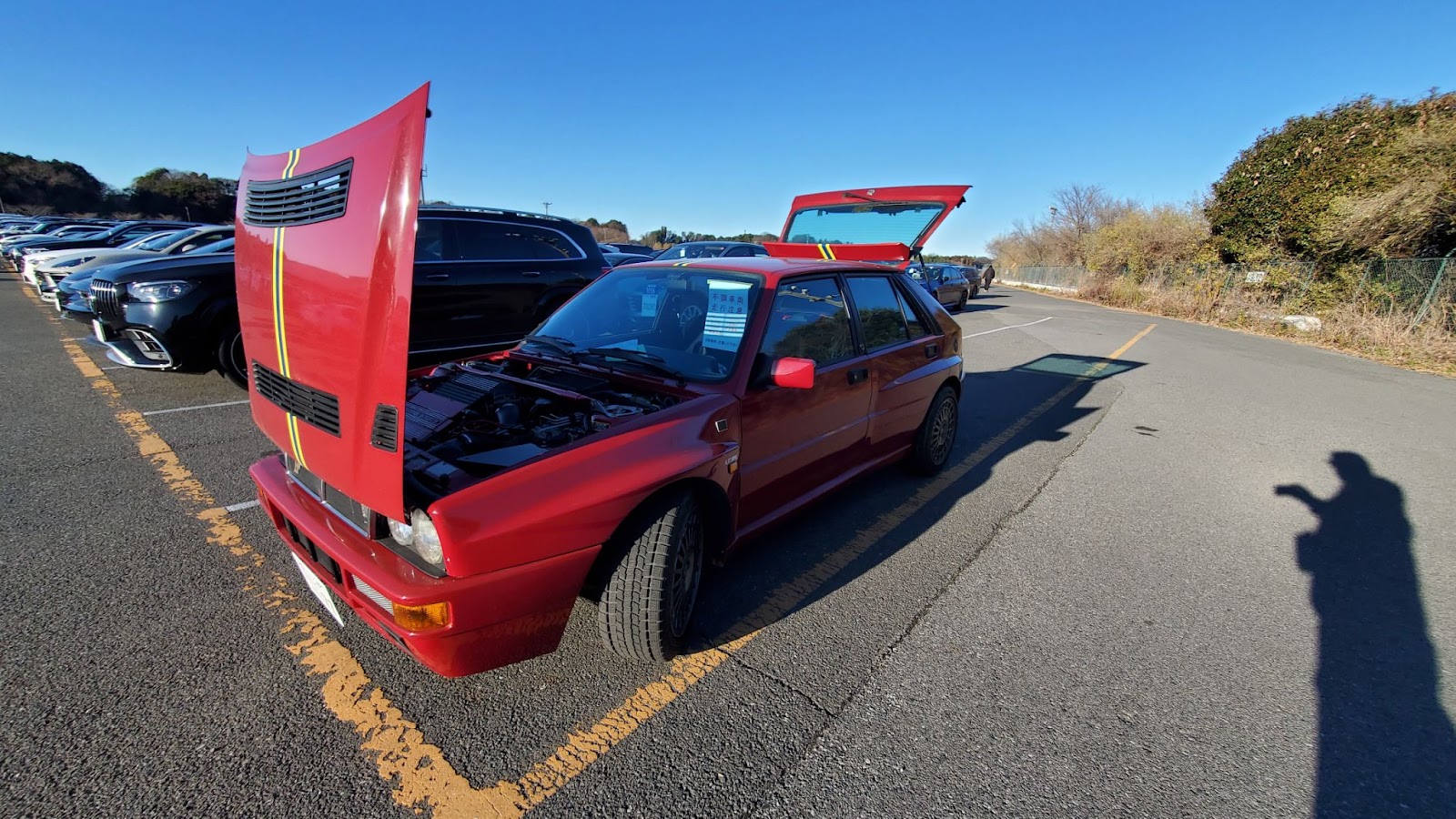 Japanese car auction with vehicles lined up for inspection
